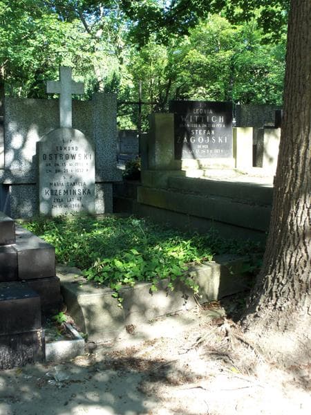 Zdjęcie grobu Maria Daniela Krzemińska (1)