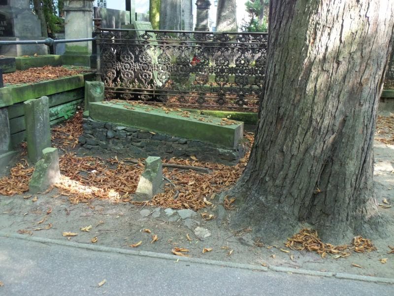 Zdjęcie grobu Konstancja Dunin (1)