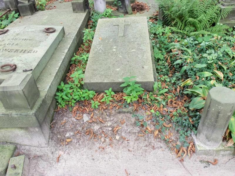 Zdjęcie grobu: Helena Hofmanowa