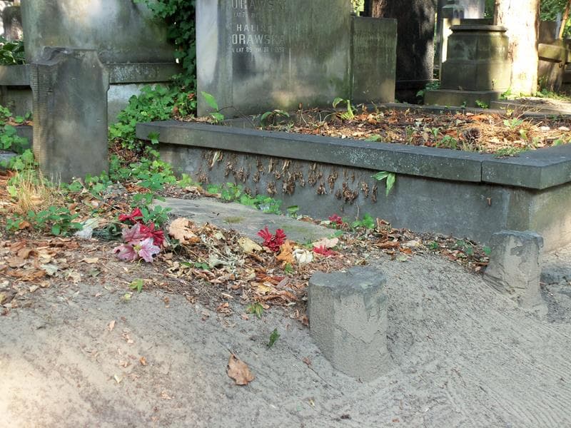 Zdjęcie grobu Józef Ciechowski (1)
