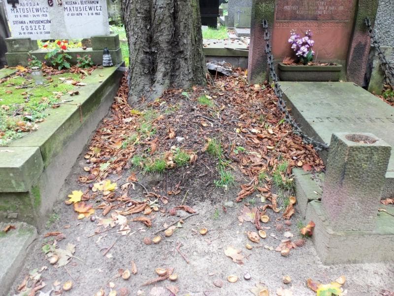 Zdjęcie grobu Pole Grobowe (1)