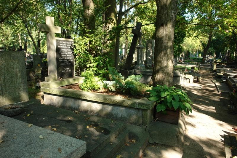 Zdjęcie grobu Antoni Benkowicz (1)