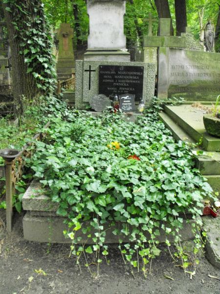 Zdjęcie grobu: Stanisława Marendowska