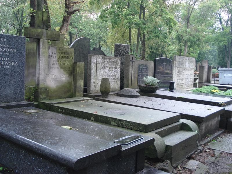 Zdjęcie grobu Julian Lubowicki (1)