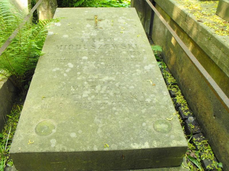 Zdjęcie grobu Józef Waszec (1)
