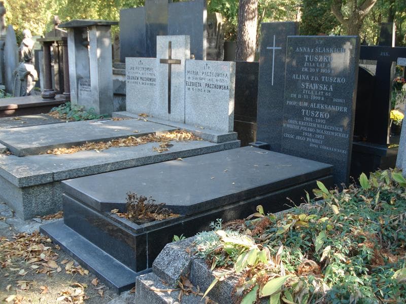 Zdjęcie grobu: Aleksander Tuszko