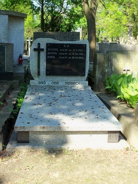 Zdjęcie grobu: Antoni Dębski
