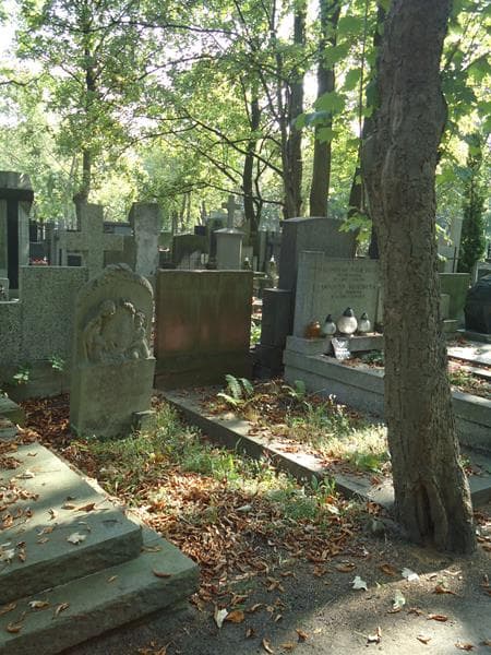 Zdjęcie grobu Feliks Szewczyk (1)