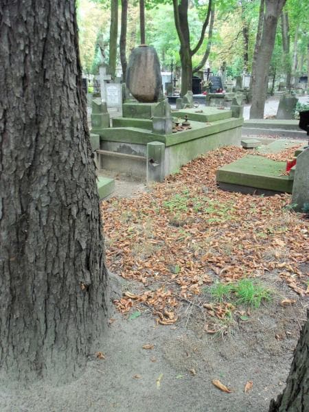 Zdjęcie grobu Pole Grobowe (2)