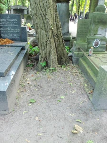 Zdjęcie grobu: Pole Grobowe