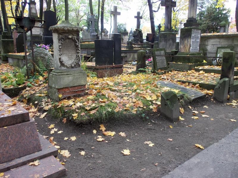 Zdjęcie grobu Domicella Niemoiewska (1)
