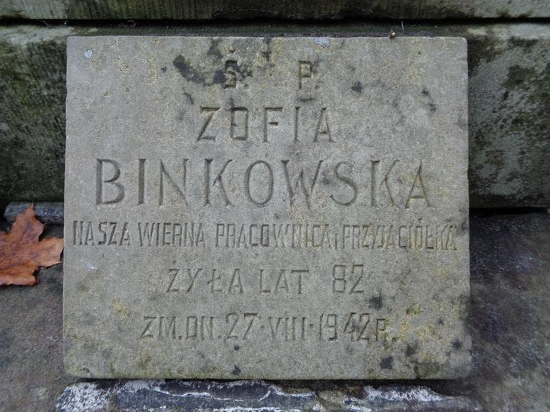 Zdjęcie grobu Zofia Binkowska (2)