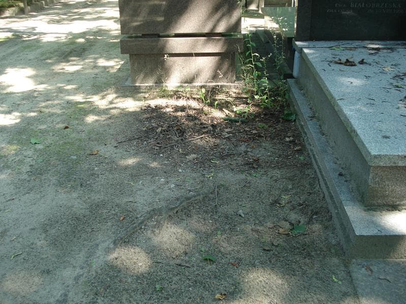 Zdjęcie grobu: Pole Grobowe