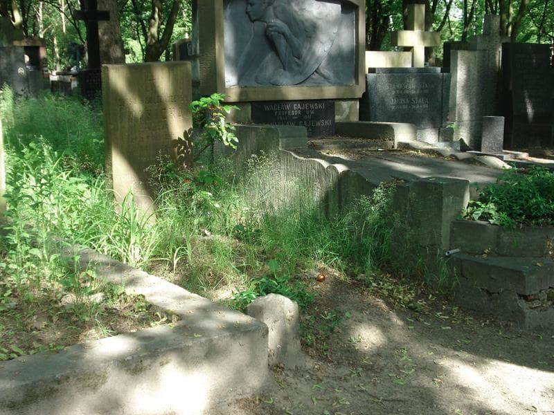 Zdjęcie grobu Teresa Iwanicka (1)