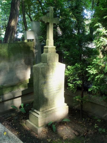 Zdjęcie grobu Stanisław Dębno-Krzyżanowski (2)