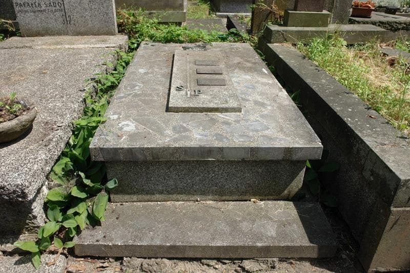 Zdjęcie grobu Stanisław Chrzanowski (1)