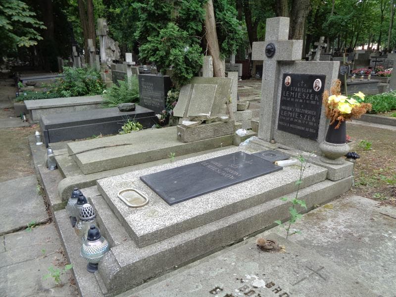 Zdjęcie grobu: Stanisław Lemieszek