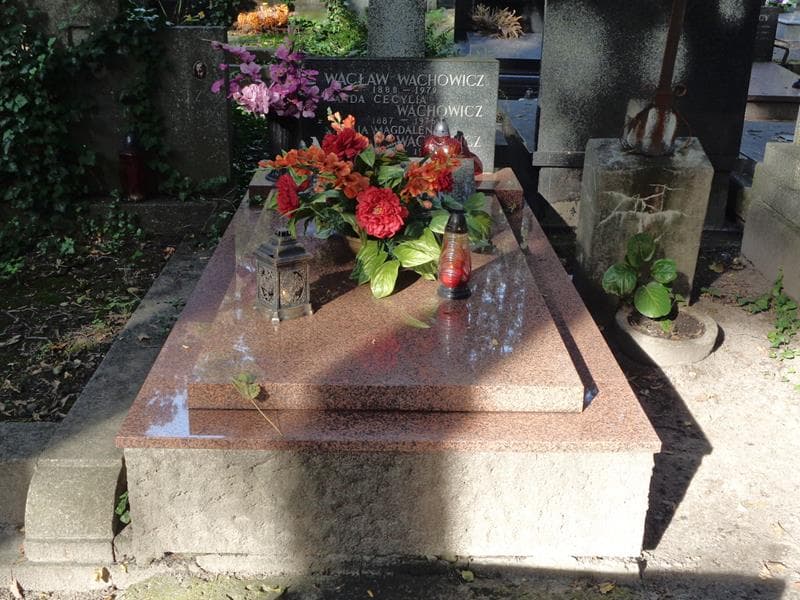 Zdjęcie grobu Zofia Pawlak (1)