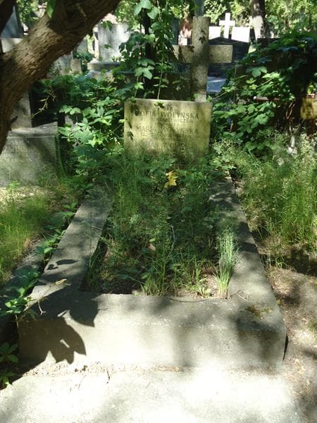 Zdjęcie grobu: Zofia Wołyńska