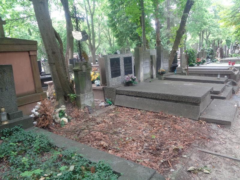 Zdjęcie grobu: Serwacy Bartłomiej Babiński
