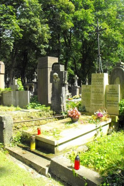 Zdjęcie grobu Henryk Dramiński (1)
