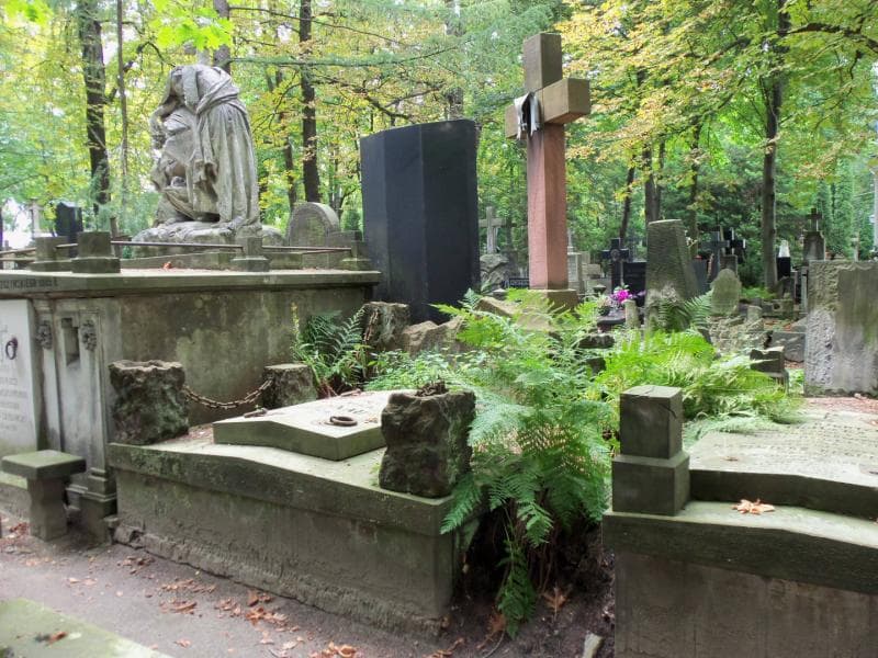 Zdjęcie grobu Aleksandra Czarnowska (1)