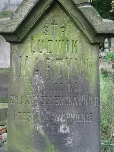 Zdjęcie grobu Ludwik Martyni (2)