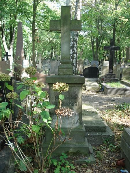 Zdjęcie grobu Franciszek Turkowski (2)