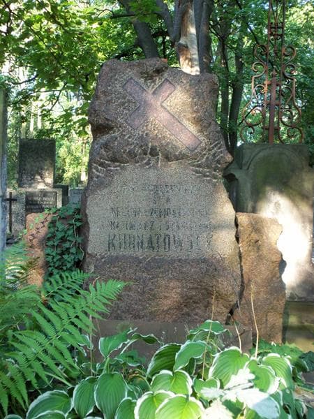 Zdjęcie grobu Kazimierz Kurnatowski (2)