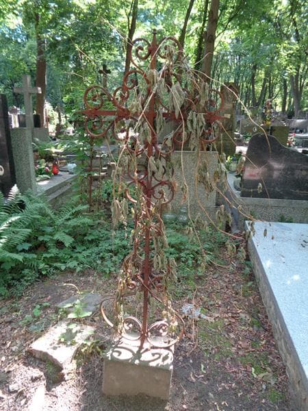 Zdjęcie grobu Anonim (1)
