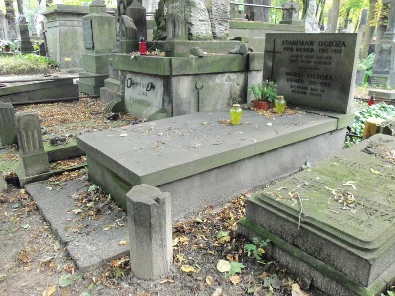 Zdjęcie grobu Stanisław Ogłoza (1)