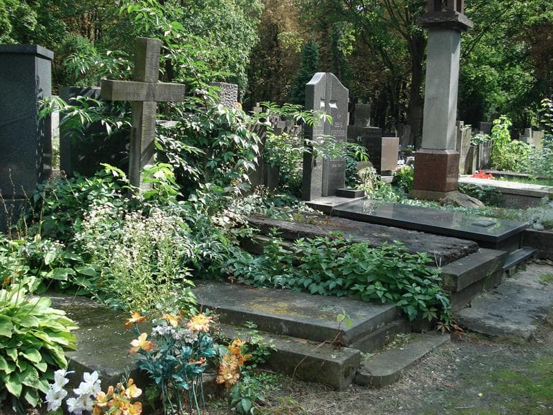 Zdjęcie grobu Tadeusz Wężyk-Rudzki (1)