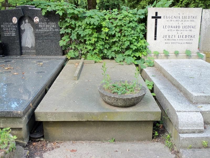 Zdjęcie grobu: Petronela Baćko