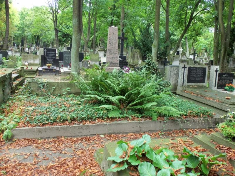 Zdjęcie grobu: Jadwiga Rzewuska