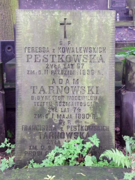 Zdjęcie grobu Adam Tarnowski (2)