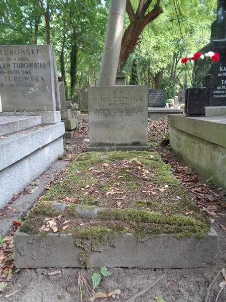 Zdjęcie grobu Kazimierz Jerzyna (1)