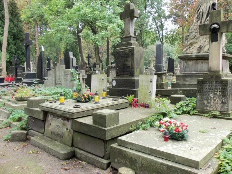 Zdjęcie grobu Stanisław Bartnicki (1)