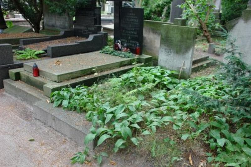 Zdjęcie grobu Stanisław Czaplicki (1)