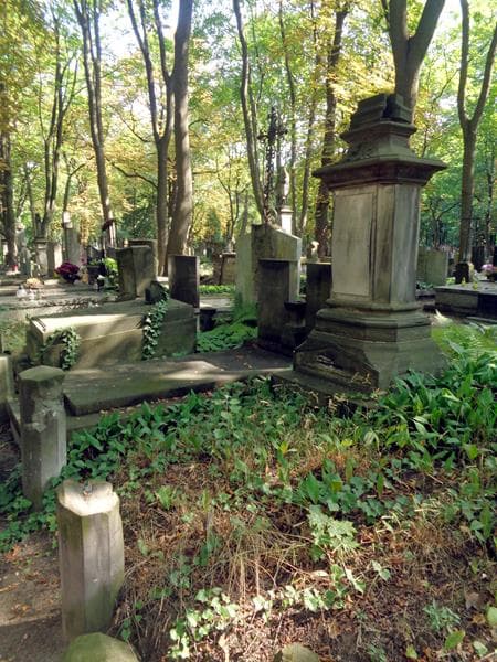 Zdjęcie grobu: Maria Lucyna Polgar