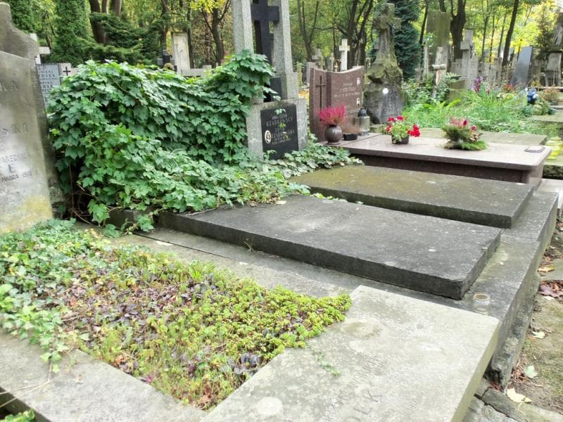 Zdjęcie grobu Michalina Celle (1)