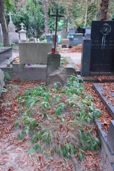 Zdjęcie grobu: Józef Nowina-Witkowski