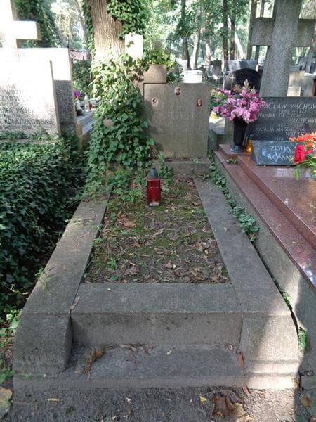 Zdjęcie grobu Henryk Piłatowicz (1)