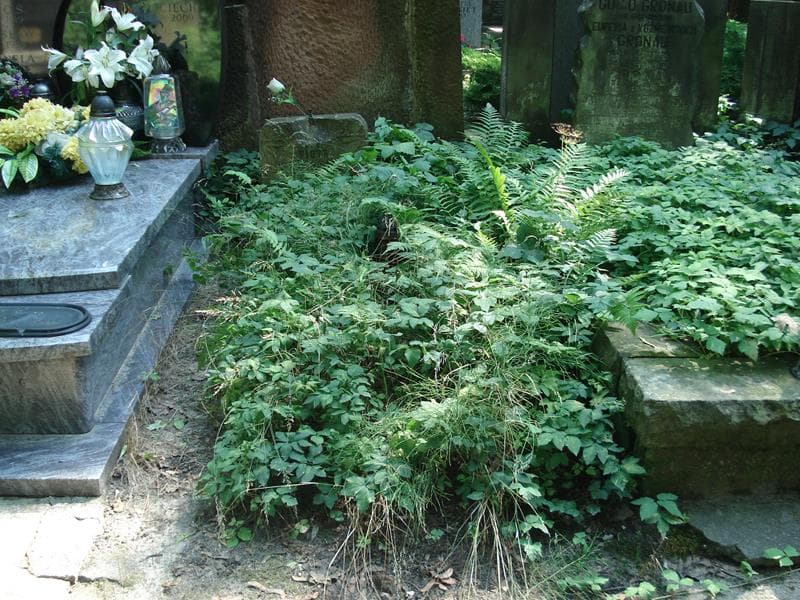 Zdjęcie grobu: Piotr Kucharzyński