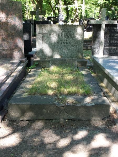 Zdjęcie grobu: Filomena Gołębiewska