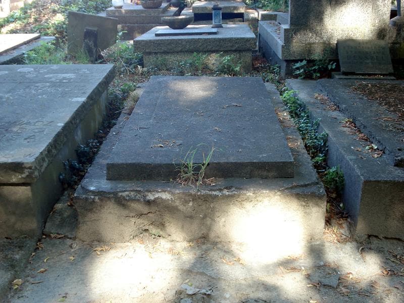 Zdjęcie grobu: Edward Pliszewski