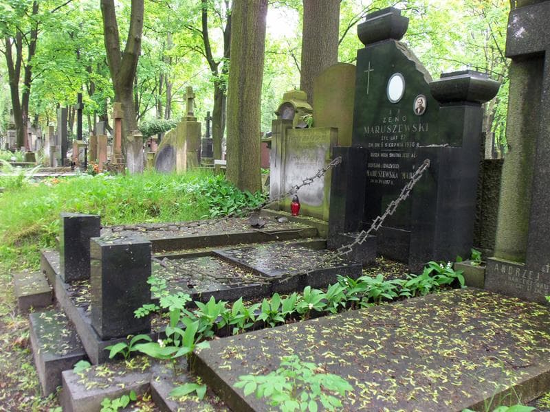 Zdjęcie grobu Zeno Maruszewski (1)