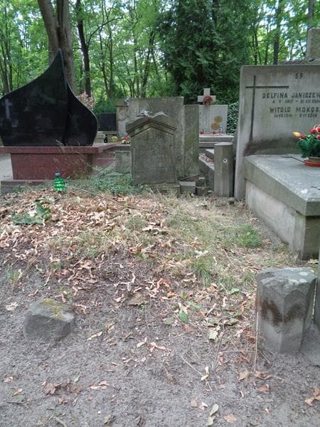 Zdjęcie grobu Wiktor Junosza - Stępowski (1)