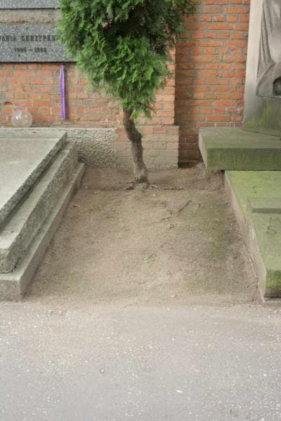 Zdjęcie grobu: Pole Grobowe