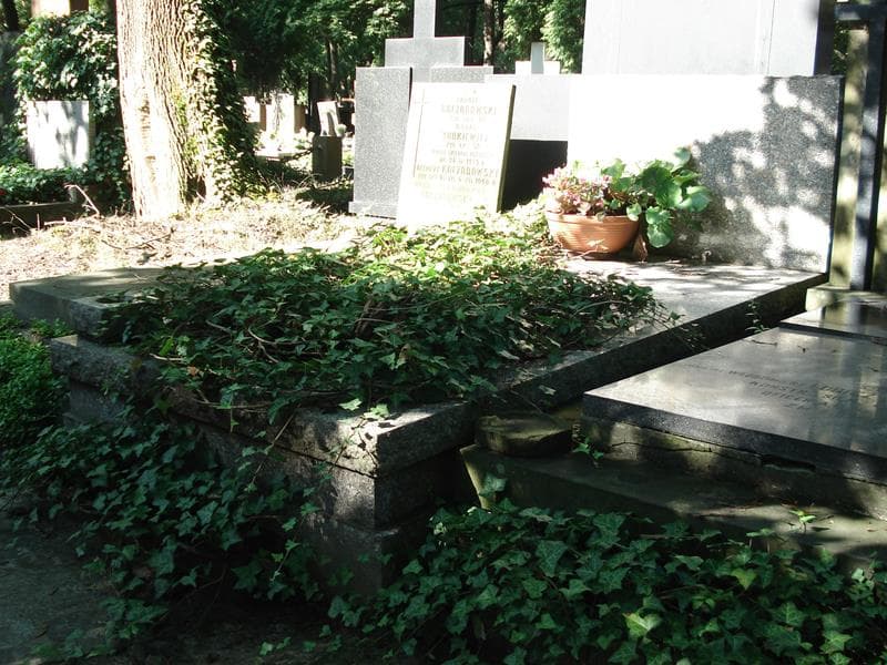 Zdjęcie grobu Janina Lubińska (1)