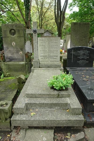 Zdjęcie grobu Natalia Pieczynis (1)
